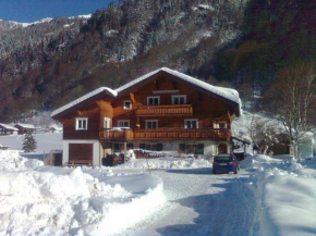 Отель Ferienwohnung Birgit, Санкт-Галленкирх